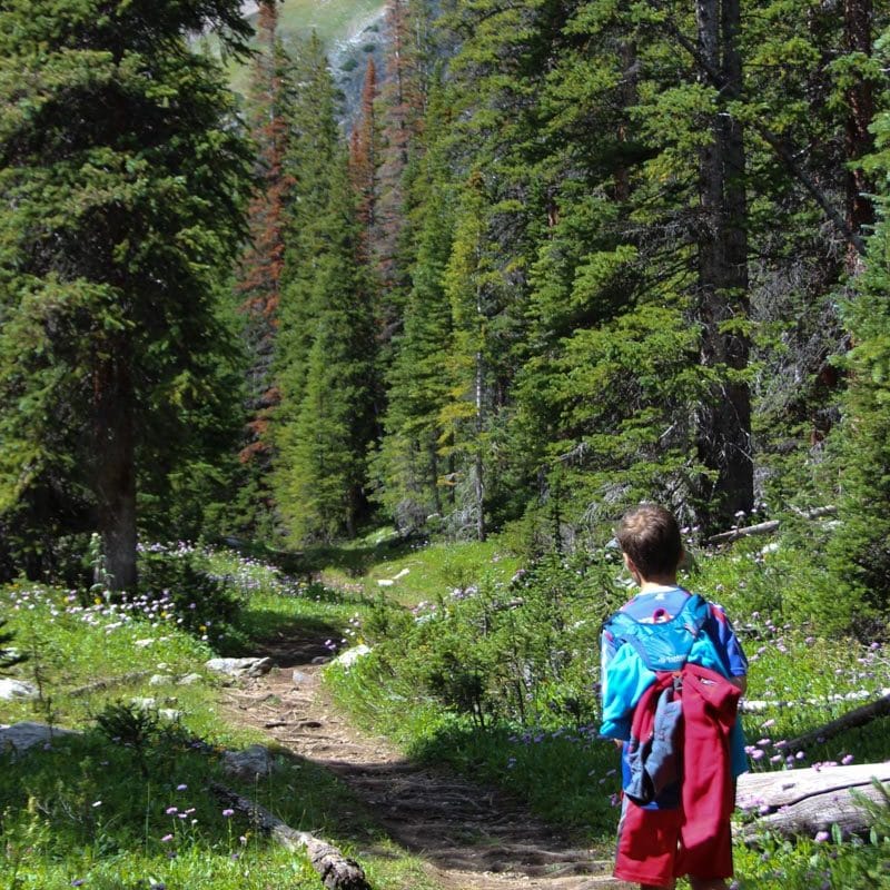 Hiking and Backpacking Colorado Trail Foundation