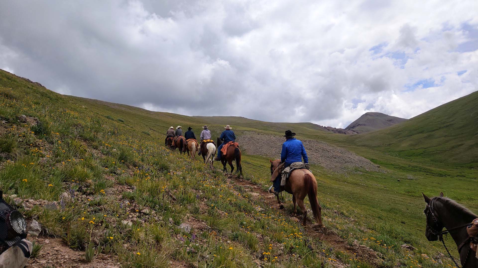 group of horseback riders head off on colorado trail