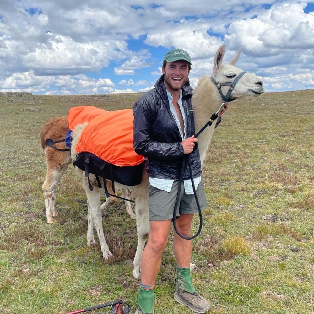Llama Packing for Beginners Colorado Trail Foundation